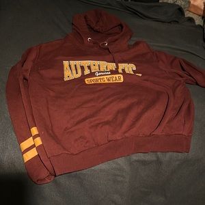 H&M Maroon Divided Hoodie
